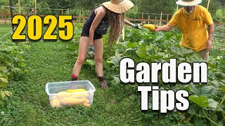 Vegetable Garden Tips - Compost Soil Seed Starting