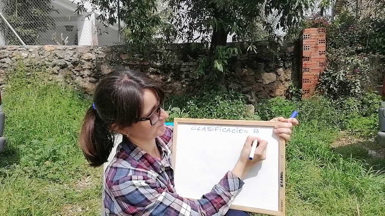 1ESO EXPLICACIÓN APARTADO 2 ROCAS SEDIMENTARIAS - YouTube