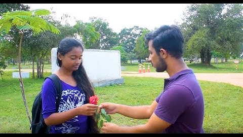 The Rose Without Thornes | E16 BATCH | FACULTY OF ENGINEERING | UNIVERSITY OF JAFFNA