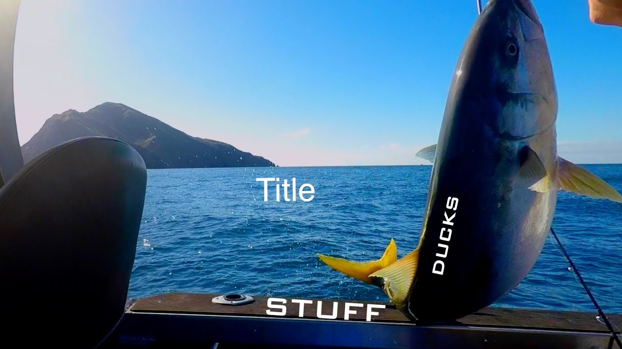 Durville Island with Josh James, Charlie and the DNA crew, Ducks and some other stuff