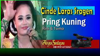 Pring kuning RINI SINDEN ( cndlras A.2016)