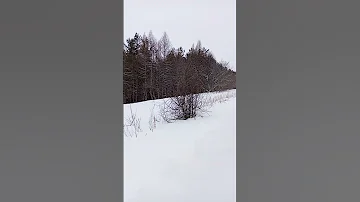 Зимой в Алтайском крае 2023 год