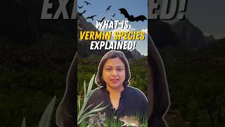 Watch Vermin Species video