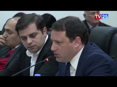 ხმაური პლენარულ სხდომაზე