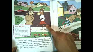 Idiom Tales The Wild Goose Chase