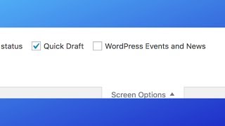 How to use Screen Options in Wordpress