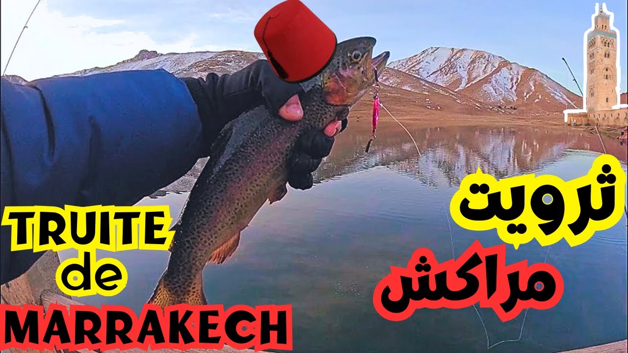la truite de Marrakech _ 4K _ صيد ثرويت مراكش