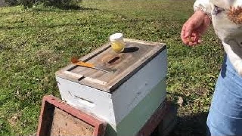 Setting up old Hive with Swarm lure