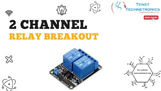 2 channel Relay breakout | Tenet Technetronics