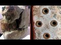 Des scientifiques dcouvrent un transformateur vieux de 20 000 ans au kosovo  artefacts anciens