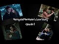 Harry and Hermione's Love Story - Episode 1