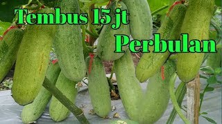 JANGAN REMEHKAN PROPESI KAMI...