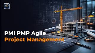 PMI PMP Agile Project Management | Value Delivery vs Outputs | Project Economy Explained