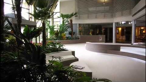 Maligno Group Official Corporate Video