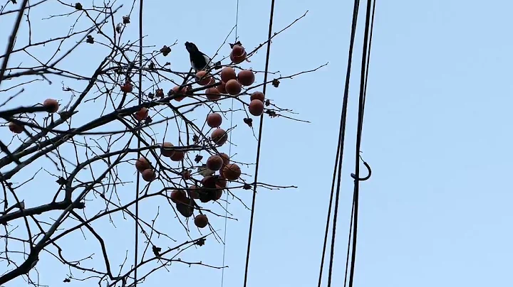 [LX10] 4K photo test1