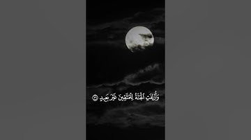سورة ق | الأية (30,31,32) #القرآن_الكريم #مشاري_العفاسي #سورة_ق #تلاوة_خاشعة  #حلات_واتس
