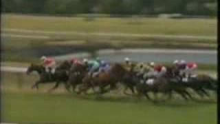 Horse Racing 1983 Eclipse.avi