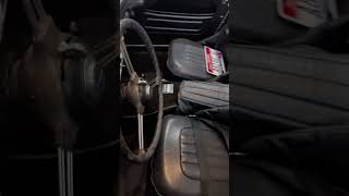 IMG 3590