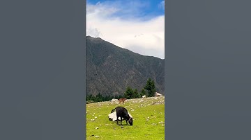 Heaven #egzonibrahimi #سورة_الإخلاص #ikhlas #nature #lehladakhtourism #musicgenre #mountains