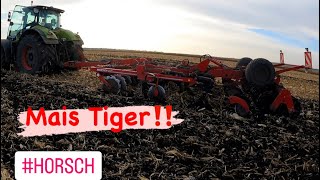 картинка: Horsch Tiger 4 MT‼️ Неперевершена робота по кукурудзі‼️ #claas #horsch