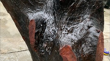 Review gốc hương đá krôngpa đặc tịt tinh lõi 48kg nu chun sụn đục tiện xẻ đều OK ạ