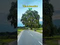 home town tral #tral #kashmiri #kashmir #popular #explorepage #exploremore #kashmiri #cinematic