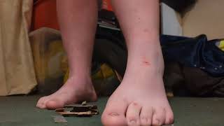 Colossal-Mick Crushes Two Sheds