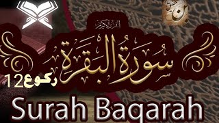 Surah al -Baqr's  raquo 12 in beautiful voices #hassantv329 #quran#islam #telawat#