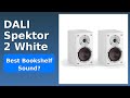 REVIEW (2026): DALI Spektor 2 White. ESSENTIAL details. - YouTube