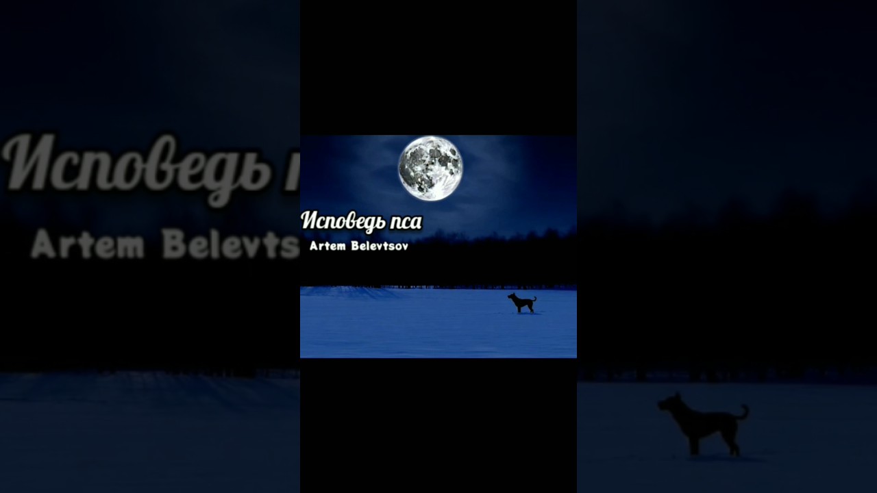 Исповедь пса (trailer) 