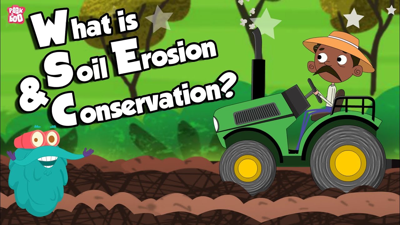 How Is Soil Conserved Class 10?
