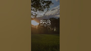 القرآن الكريم تلاوه رائعه للشيخ ياسر الدوسري #اكسبلور #القرآن_الكريم #لايك #المصحف #دويتو