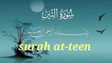 Surat At-Tin (The Fig) | Mishary Rashid Alafasy | مشاري بن راشد العفاسي | سورة التين/surah at-teen🔥