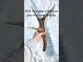 Elk sheds #country #hunting #jesuslovesyou #viral #elk #elksheds #shedhunting #pnwboyz