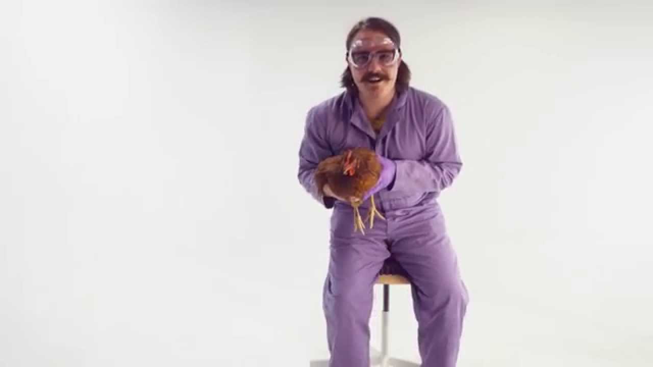 who plays the purple mattress goldilocks who plays the purple mattress goldilocks