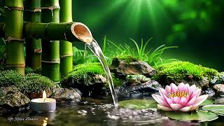 Relaxing Piano Music & Water Sounds 24/7 - Ideal for Stress Relief and Healing
