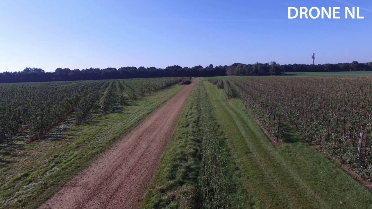Drone NL - Panheel (Limburg, NL)