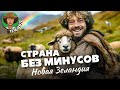 Новая Зеландия: сначала про рай на краю света | Эскорт, свободная экономика, роскошная тюрьма