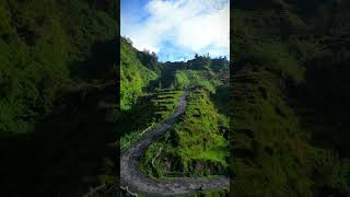 Discover Indonesia A Tropical Paradise Awaits You