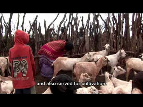 Livestock, life and livelihoods among women and men in East Africa