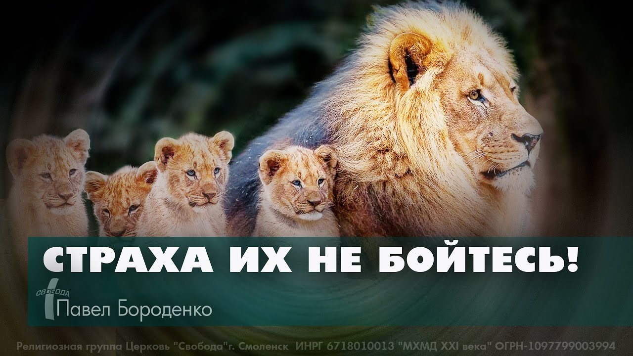 "Страха их не бойтесь" | Павел Бороденко - YouTube