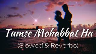 Tumse Mohabbat Ha (Slowed & Reverbs)