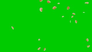 Green screen flower animation HD fx effect #4 that MUST WATCH. Flowers petals falling Green screen.