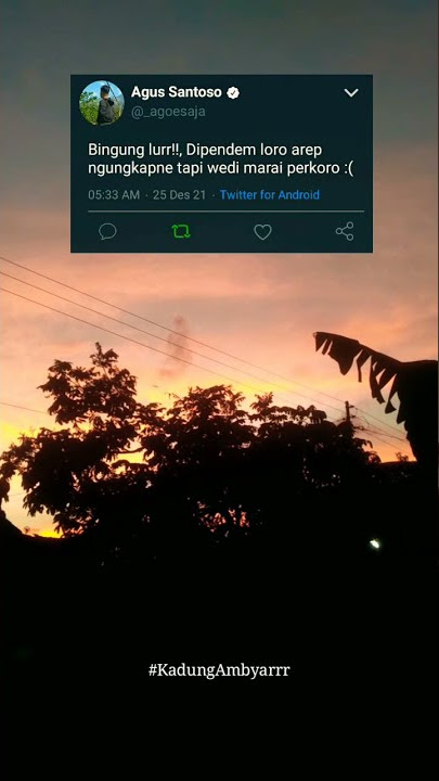 Story' WA _Viral tiktok2021_mesake opo..?? Mesake atiku Yen tak teruske ro kowe - Ojo nangis