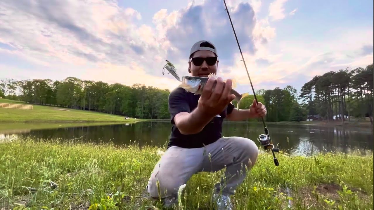 Buscando Lobinas! Pesca con Senuelo Popper! / Top Water Fishing #fishing #viralvideo #bassfishing