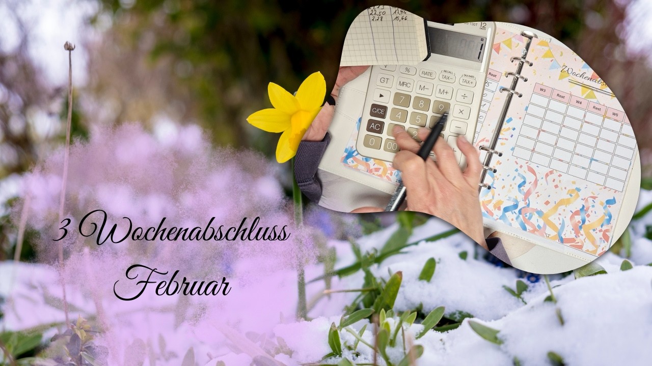 3 Wochenabschluss 🧡 Februar 🧡 #umschlagmethode #sparen #budgeting