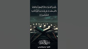 سورة البقرة | Al-Baqarah | آية 110 | الشيخ وديع اليمني