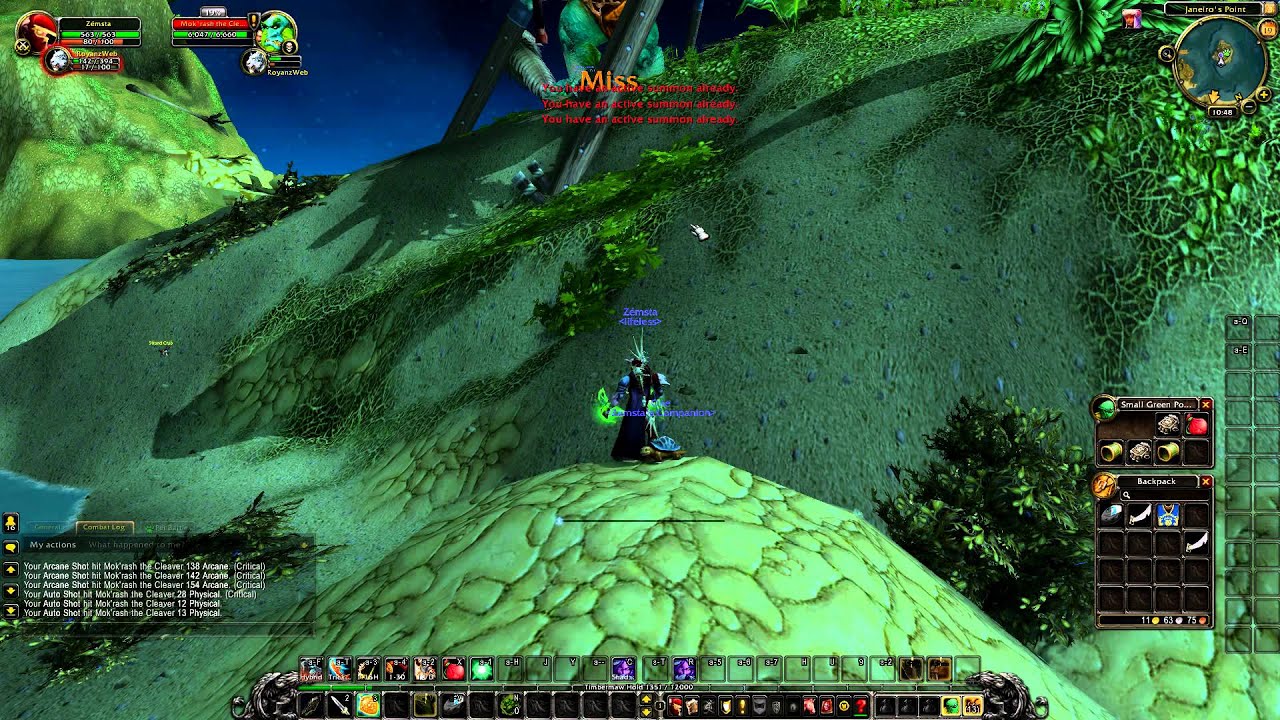 Zemsta - Lvl 1 Twink Hunter '20 Rare + 34 High Hp Mob'