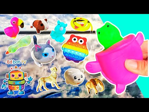 Kids Learn at the Beach | Animal Names: Tortoise Rhino Cat Flamingo Guinea Pig Emu
