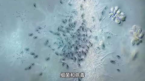 Matlab软件免费版在哪下载，Matlab软件 Matlab软件免费版在哪下载，Matlab软件。#Matlab安装包 #Matlab安装教程 #Matlab下载安装 #Matlab免费下载 #M